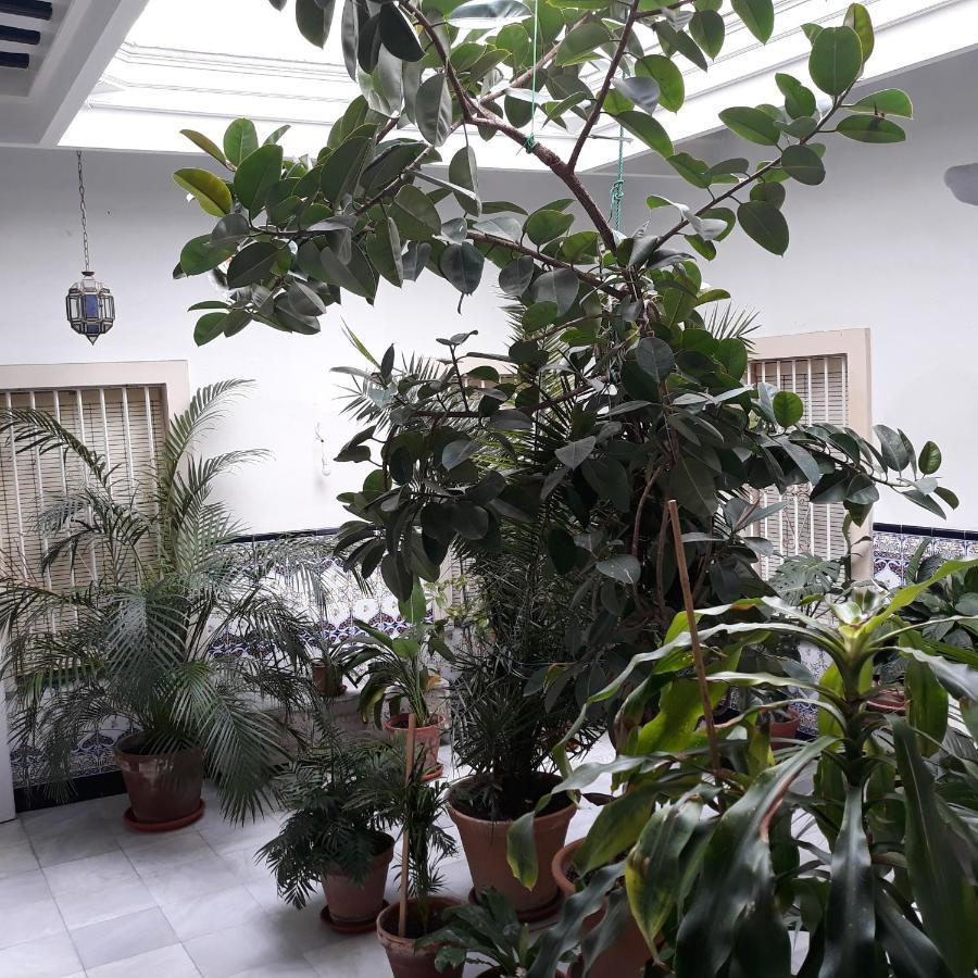 Appartamento Atico Soleado Cadice Esterno foto