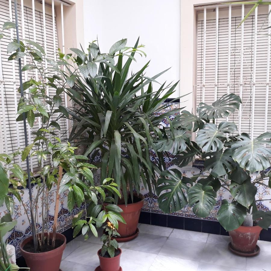 Appartamento Atico Soleado Cadice Esterno foto