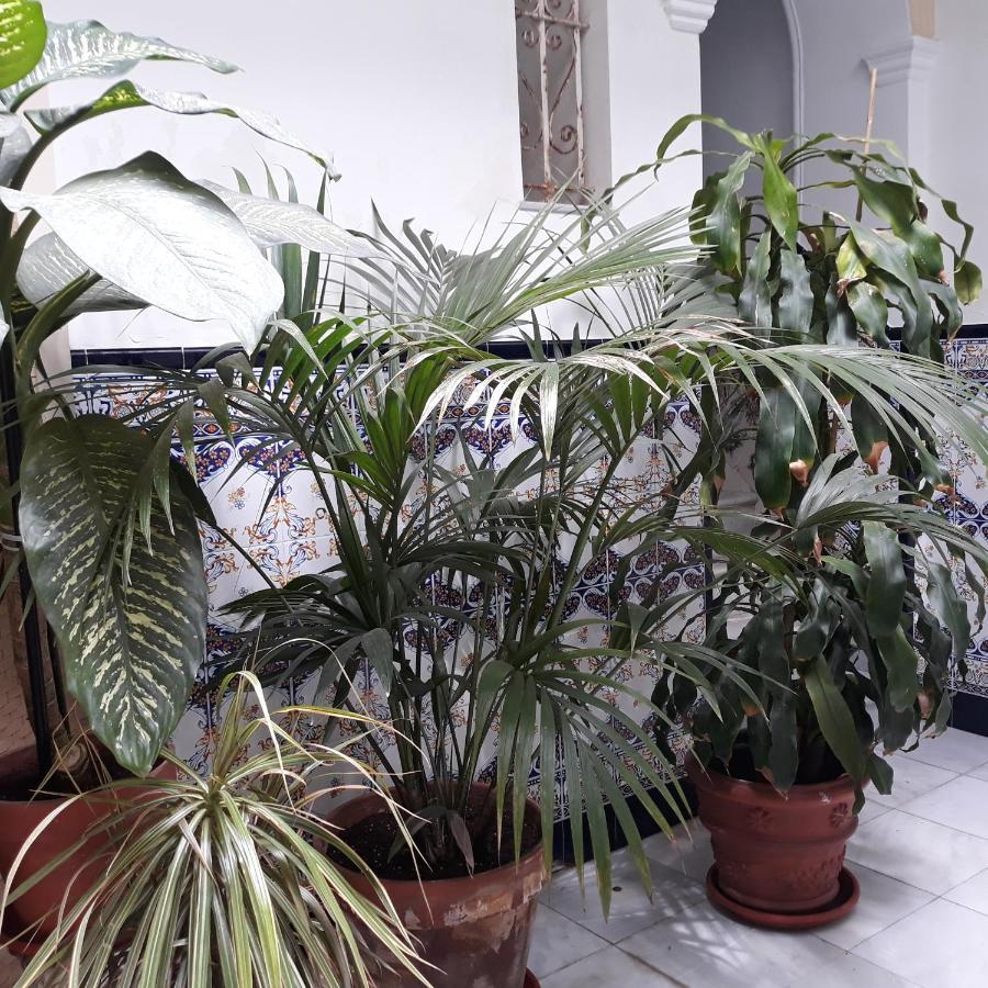 Appartamento Atico Soleado Cadice Esterno foto